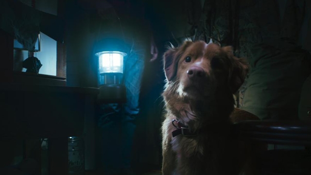 Dog Friendly Preview: Good Boy