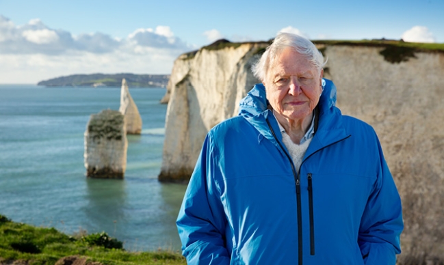 IFF 2026: Ocean With David Attenborough