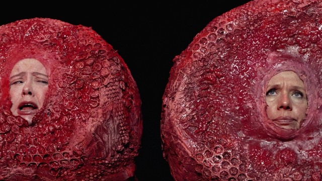 NFF 2025 Shorts: Comedy Shorts