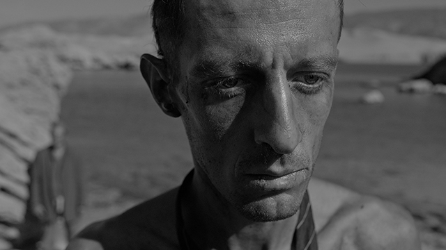 CFF: Beautiful Evening, Beautiful Day