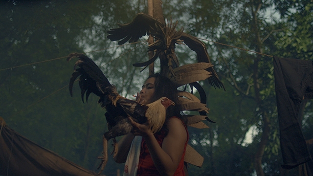 CFF: Shorts: Transfigurations