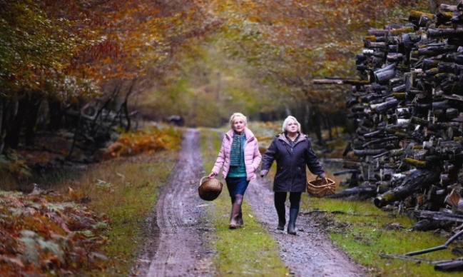 CFS: When Autumn Falls