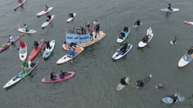 Green Screen: Jo in the Water + Q&A