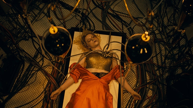 Dog-Friendly Screening: The Bride!