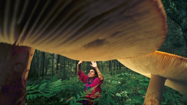 CFF: Daughters of the Forest