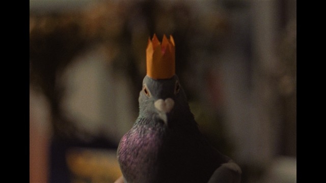 CFF Shorts: Friendly Encounters