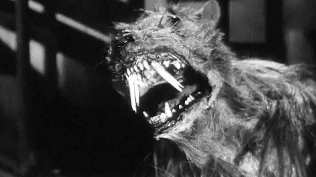 BAR TRASH: Creature Double Feature